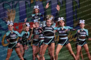 Florida Elite Sharks Great White
