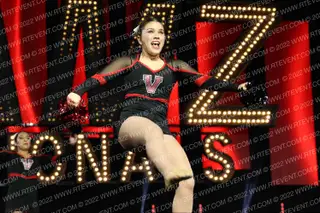 VISTA HIGH POM