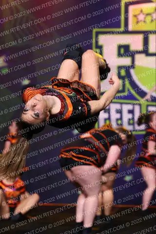 Tigers Athletics Platinum