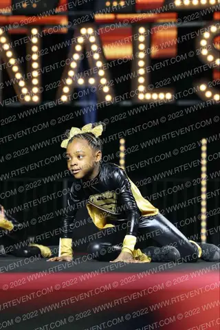 ICDP ROYAL MINIZ