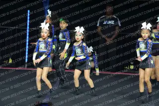 ROYAL STORM ELITE SHADE