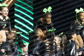 VACAVILLE ELITE VENOM