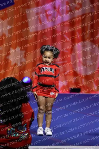 Stars Vipers Fab Fangs