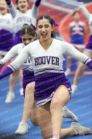 Hoover HS 17