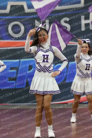 Hoover HS 5
