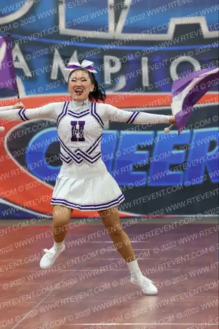 Hoover HS 4