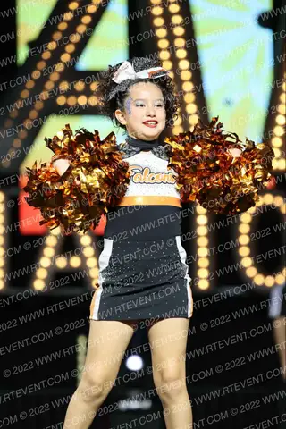 WTX  FALCONS JV