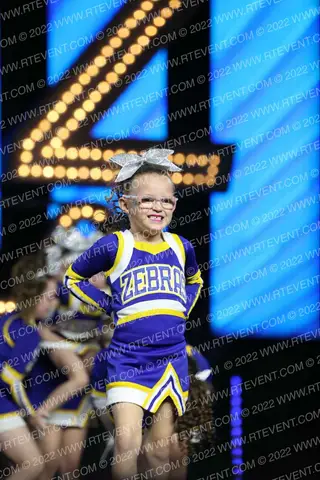 LINCOLN JR ZEBRAS JUNIOR PEEWEE