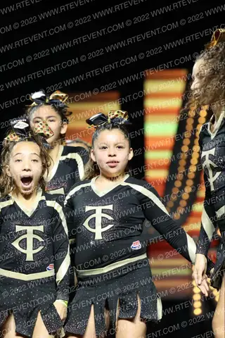 COBRAS JV