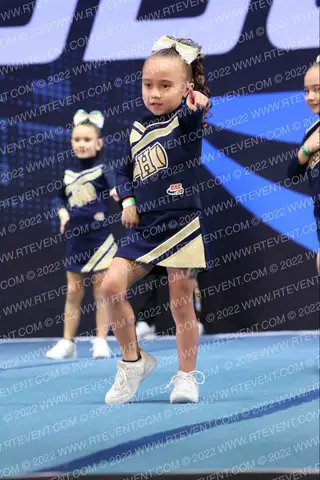 FARMINGDALE HOWELL LIONS TM