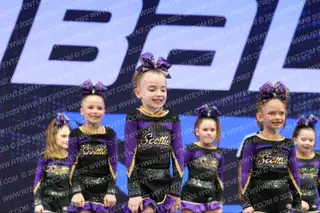 BALLSTON SPA SCOTTIES TINY OHANA