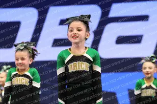 BRICK CHEER D8