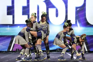 Epic Cheer Royal Bees