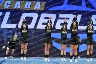 MANSFIELD HORNETS