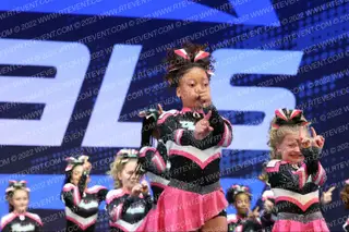 JOCO PHOENIX BLAZE