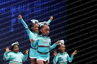 PTE FIERCE CATS TINY