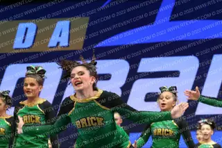BRICK CHEER D12