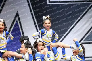 LINCOLN RAMS MAMBAS