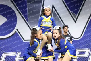 DOS PALOS BRONCO YOUTH CHEER PEEWEES