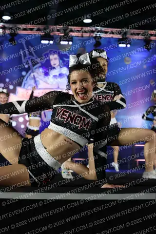 Vikings Elite Formula 1