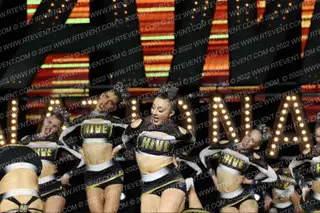 HIVE BLACKOUT