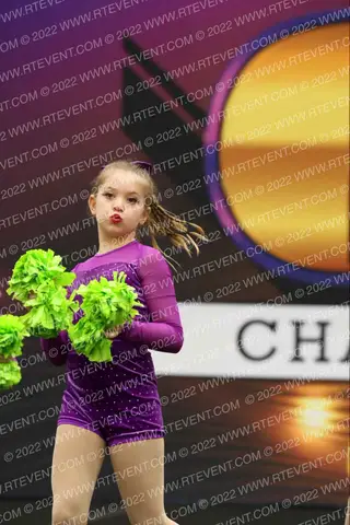 Dance Vibe Studio Inc. Mini Pom