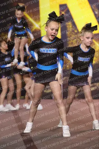 TSA Allstars Angel Sharks
