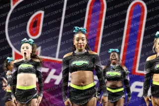 Express Stingers Stingrays