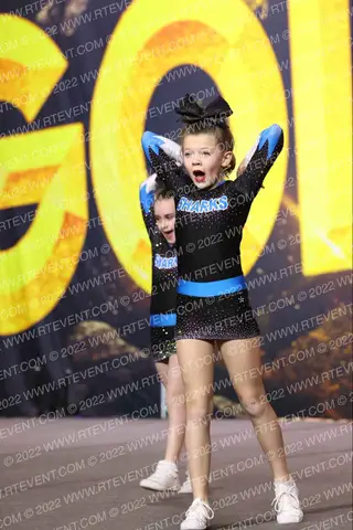 TSA Allstars Angel Sharks