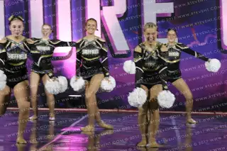 Sheffield Sabrecats Pom Cheerleading Large University Dance Pom