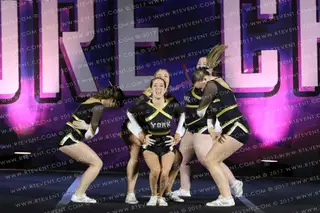 York Hornets Cheerleading Sting
