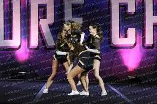York Hornets Cheerleading Venom