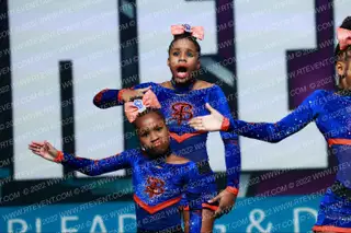 Blueprint Allstars Royal Leopards