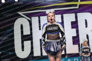 Falcons Elite Shade