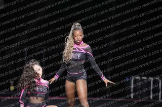FIERCE CHEETAHS