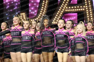FIERCE CHEETAHS