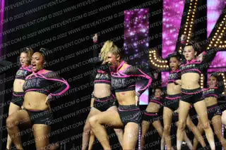 FIERCE WILD CATS