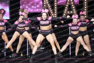 FIERCE IDAHO STEALTH