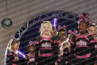 Savannah Sharks Cheerleading Mini Makos