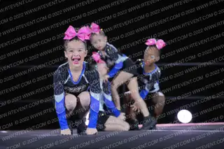 Palm Beach Lightning Lady Bugs
