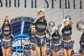 Sharon Springs Falcons Falcons Elite - Shade