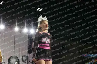 Savannah Sharks Cheerleading Lemon Sharks
