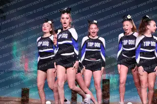 Florida Top Dog All Stars Jade