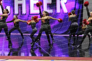 Panache DYNAMITES