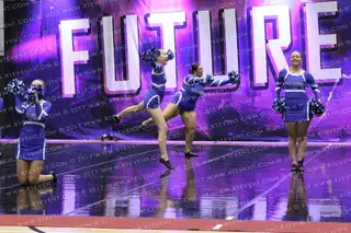 YSJ Kats Sapphire