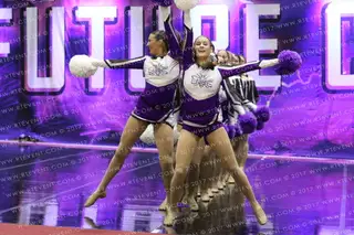 UMC Honey Bees