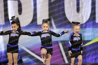 The Stingray Allstars Daisy