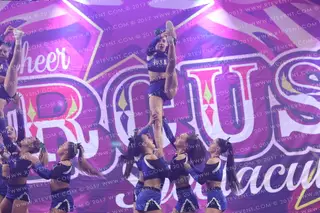 Wild Spirit Allstars Enchanted