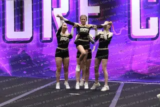East Coast Tigers MAJESTY