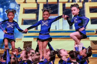 East Celebrity Elite Tiny Shells